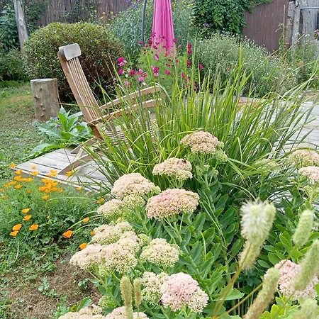 D'hote Triple, Au Calme Dans La Campagne Des Weppes *