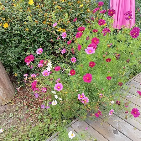 D'hote Triple, Au Calme Dans La Campagne Des Weppes Fournes-en-Weppes